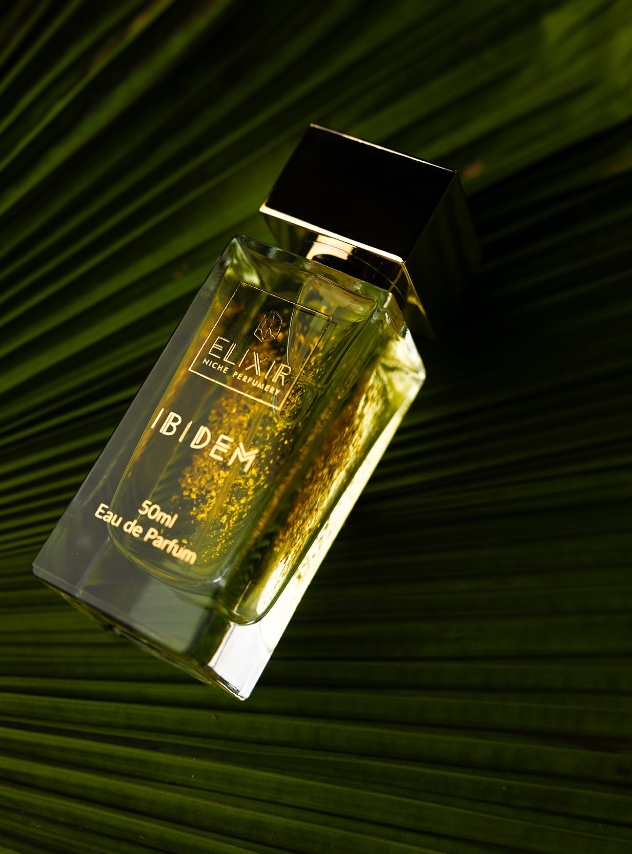 ELIXIR Ibidem