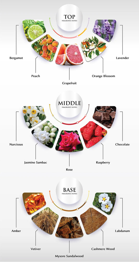 BIRTH OF VENUS - ARGOS