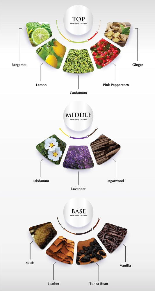 FALL OF PHAETON - ARGOS