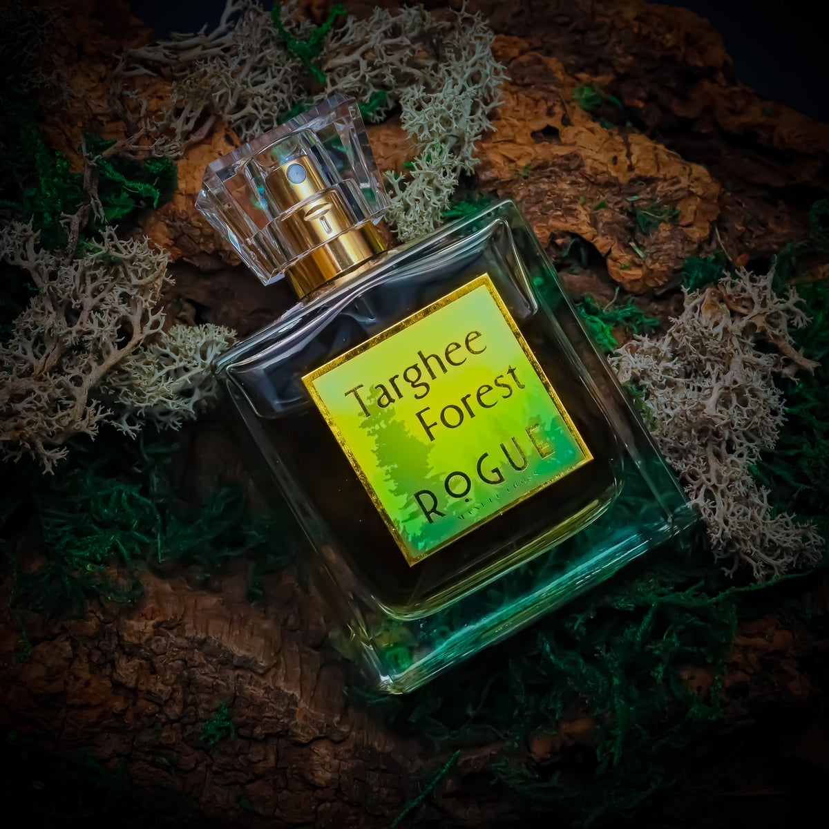 Targhee Forest 50ml.